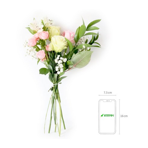 화사하고 매력적인 생화로 공간에 생기를 불어넣는 모리앤 생화 랜덤박스