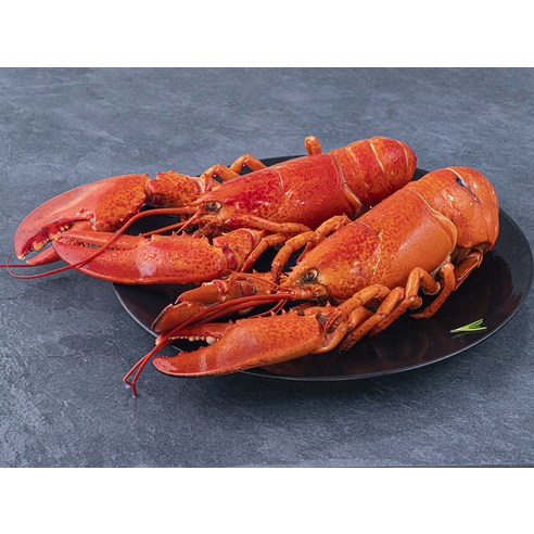 편리한 냉동 자숙 바다가재로 집에서 고급 미식을 즐겨보세요.