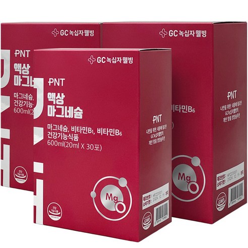 GC녹십자웰빙 PNT 액상마그네슘, 600ml, 3개