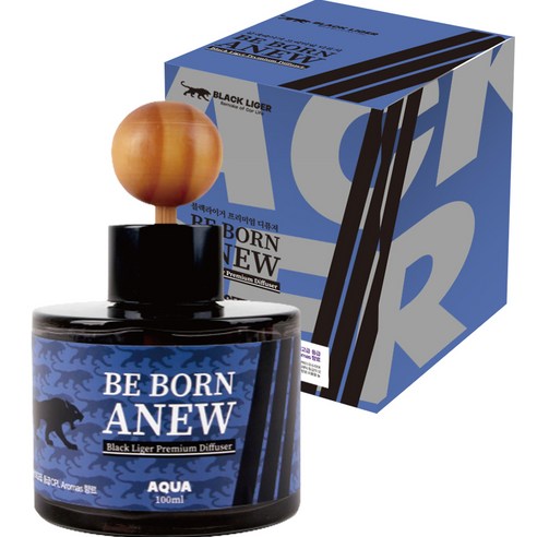 블랙라이거 프리미엄 디퓨저 100ml, 아쿠아, 1개