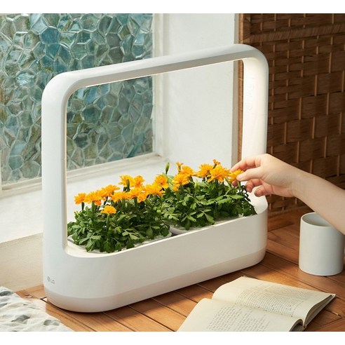 LG Twoon 迷你 植物電器 植物中耕機 L023W1