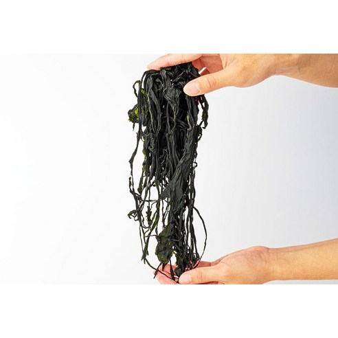 안옥남의 대접: 풍성한 SEA FOOD 선물세트