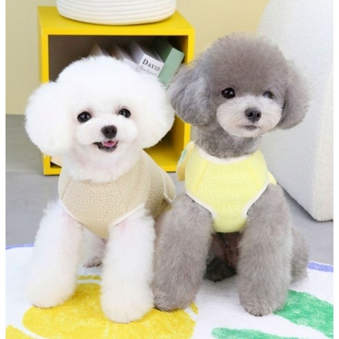 伴侶  寵物產品  小狗  貓  聯合使用  服裝  外衣  狗  狗  狗