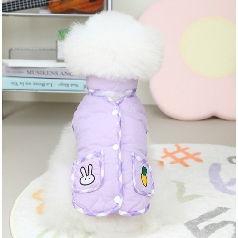 伴侶  寵物產品  小狗  貓  聯合使用  服裝  狗  狗  狗  狗