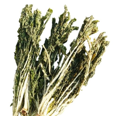 나물투데이 건시래기, 100g, 1개