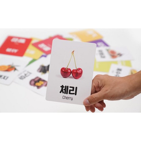 아띠래빗 생생한 한글 영어 짝꿍 낱말카드 5종 프리미엄, 1박스