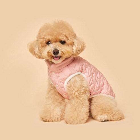 플로트 강아지 캔디 패딩 조끼, 핑크