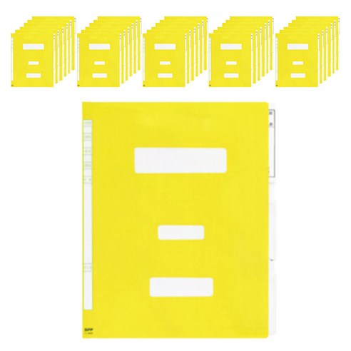 PP 정부화일, 노랑색, 300개