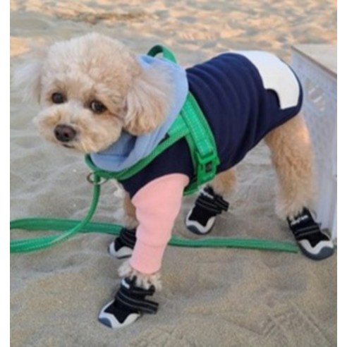 패션과 기능을 한 번에! 멍템 강아지 신발