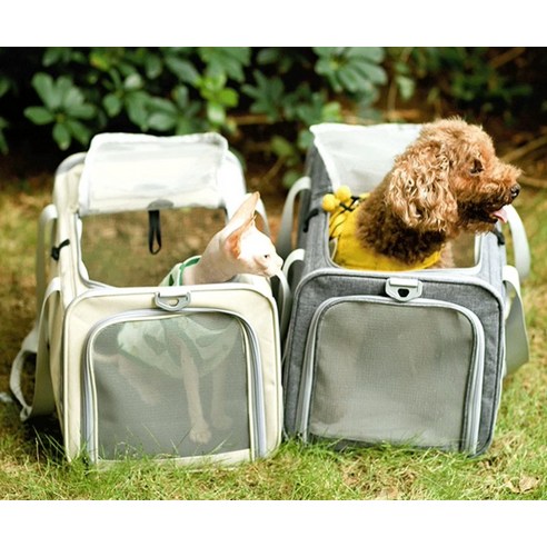 반려동물 여행을 위한 궁극의 편안함: 스페이스캣 이동가방