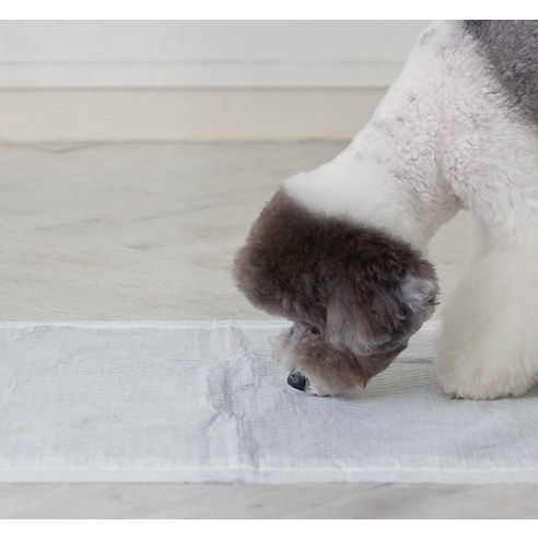 강아지의 건강과 편안함을 책임지는 프리미엄 배변패드