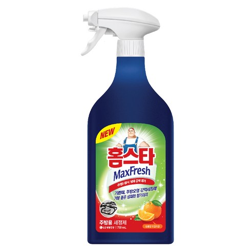 홈스타 맥스 프레쉬 주방용 세정제, 750ml, 1개