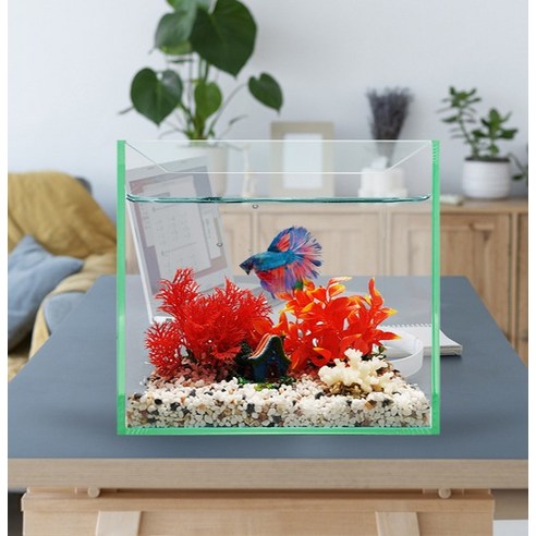 좁은 공간, 큰 행복! 칸후아쿠아리움 25 하이큐브 어항으로 나만의 작은 바다를 만들어보세요.