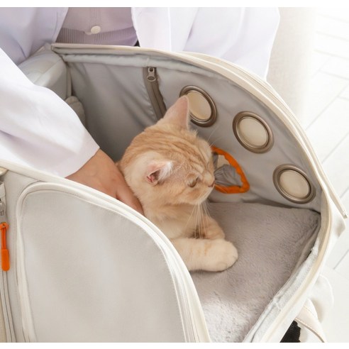 반려동물의 안전과 편안함을 동시에 제공하는 이동장용 포근패드