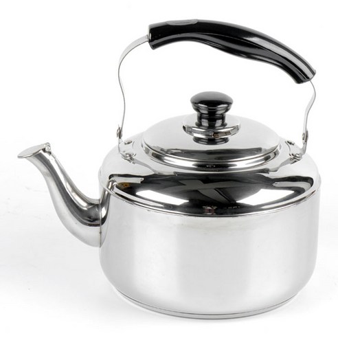 퀸센스 루미스 휘슬 인덕션 주전자 IH, 4.5L, 혼합색상, 1개