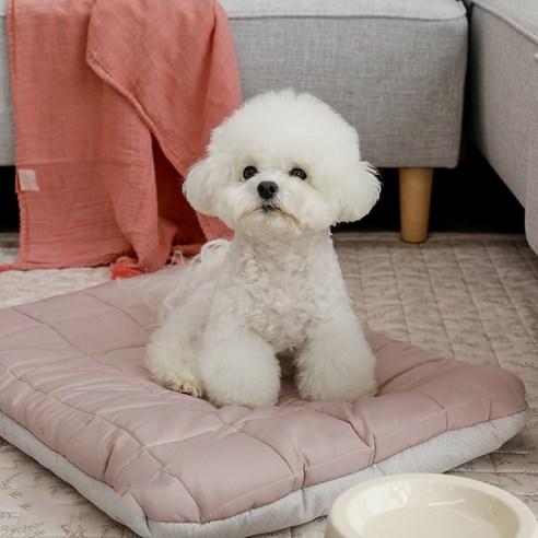 아망떼 강아지 알러지케어 다용도 방석, Pink, 1개