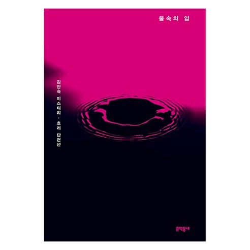 물 속 의 입, 김인숙, 문학동네
