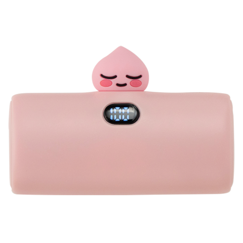 카카오프렌즈 라이언 도킹형 고속충전 보조배터리 5000mAh C타입 중고배터리 카카오프렌즈 라이언 도킹형 고속충전 보조배터리 5000mAh C타입 중고배터리
