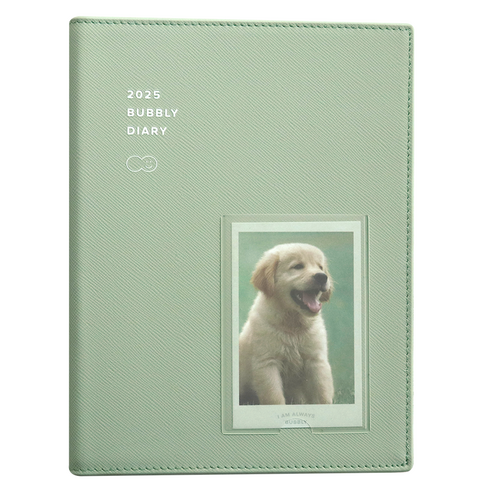 아이코닉 2025 버블리 다이어리 위클리 플래너, Cream mint, 1개