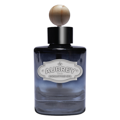오브리 차량용디퓨저 120ml, 유칼립투스스파, 1개