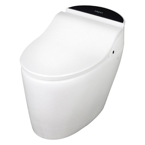 TREVI 자동 물내림 직수 도기 일체형 비데 바스나인 일체형비데