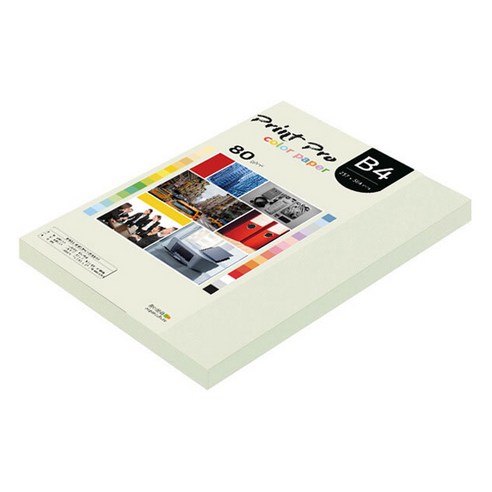 종이문화 프린트 프로 칼라 복사용지 No 18 라이트그레이 80g, B4, 170개
