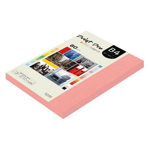 종이문화 프린트프로 칼라복사지 No 25 새몬, B4, 170개