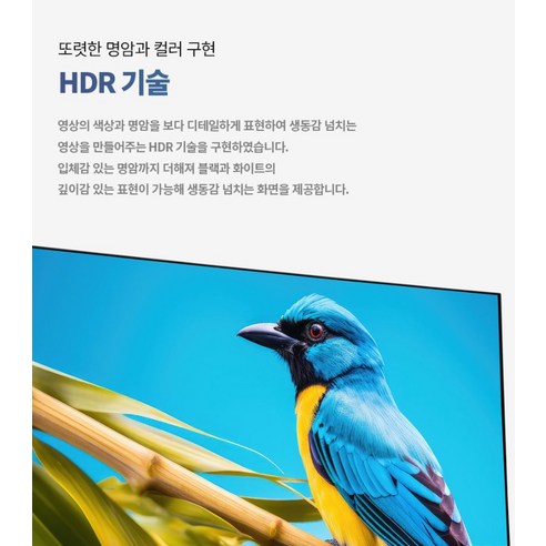 선명한 화질로 몰입감을 더하는 뉴싱크 FHD 무결점 모니터