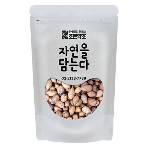 조은약초 비자열매, 400g, 1개