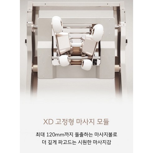 웅장한 날갯짓, 당신의 공간에 찾아온 럭셔리 힐링
