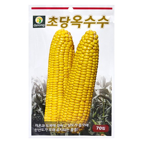 다농 초당옥수수 씨앗 70p, 1개