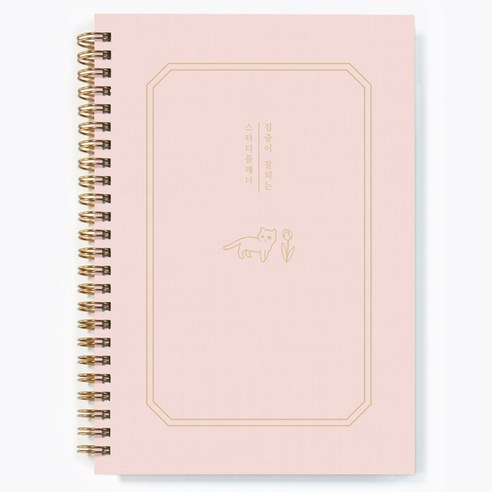달퐁이네문방구 집중이 잘되는 스터디플래너 + 하루 일과표 스티커 세트, 01 샴페인 핑크(플래너), 1세트