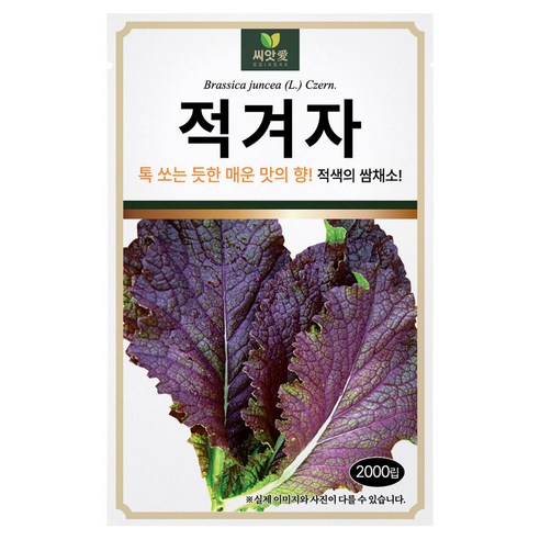다농 씨앗애 적겨자 씨앗 2000립, 1개