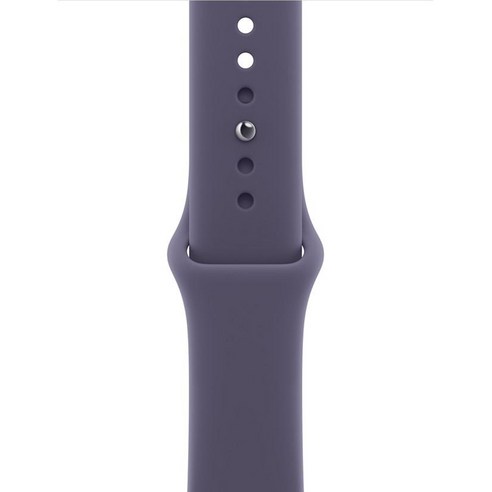 Apple 정품 애플워치 스포츠 밴드, 퍼플 포그, 42mm, S/M, 1개
