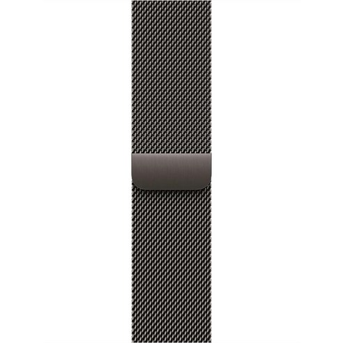 Apple 정품 애플워치 밀레니즈 루프, 슬레이트, 42mm, Regular, 1개