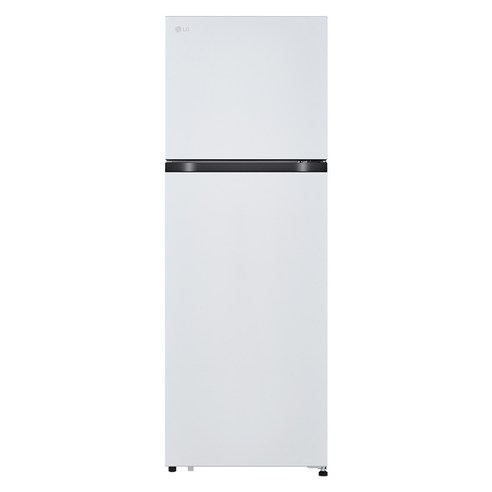 LG전자 2도어 241L 일반냉장고 방문설치, B245W22