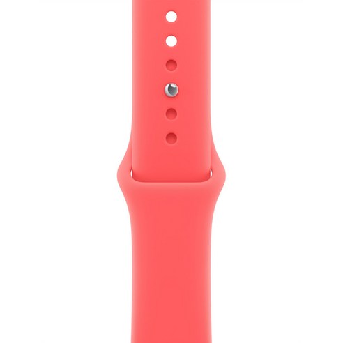 Apple 정품 애플워치 스포츠 밴드, 브라이트구아바, 40mm, S/M, 1개