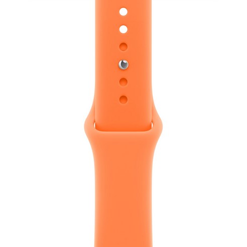 Apple 정품 2026 애플워치 스포츠 밴드, 40mm, S/M, 클레멘타인