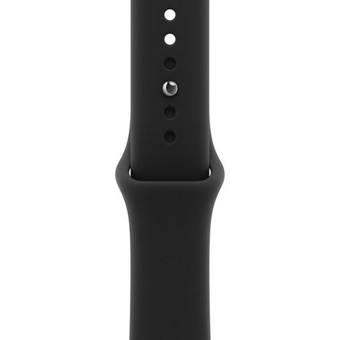 Apple 정품 애플워치 스포츠 밴드, 블랙, 40mm, M/L, 1개