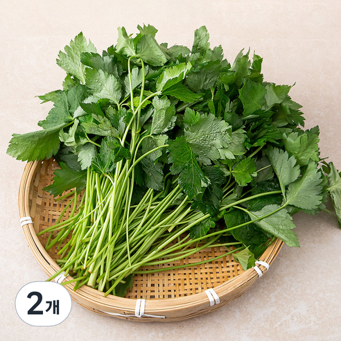 참나물, 1kg, 2개