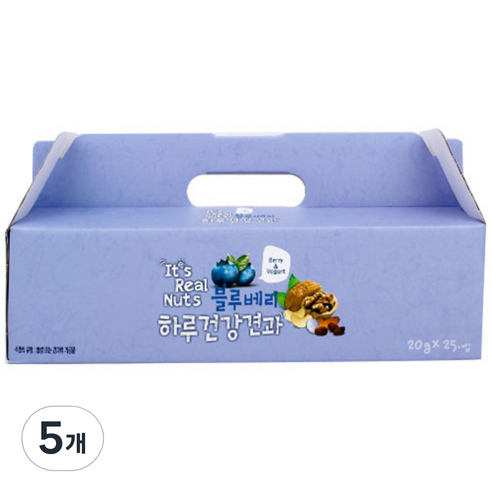잇츠리얼넛츠 블루베리 요거트 믹스넛, 500g, 5개