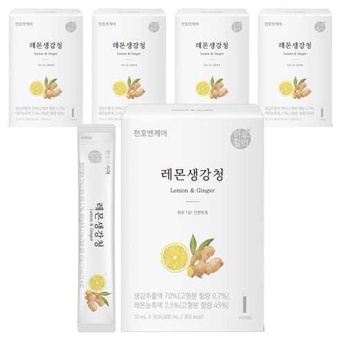 하루활력 레몬생강청, 300ml, 5개