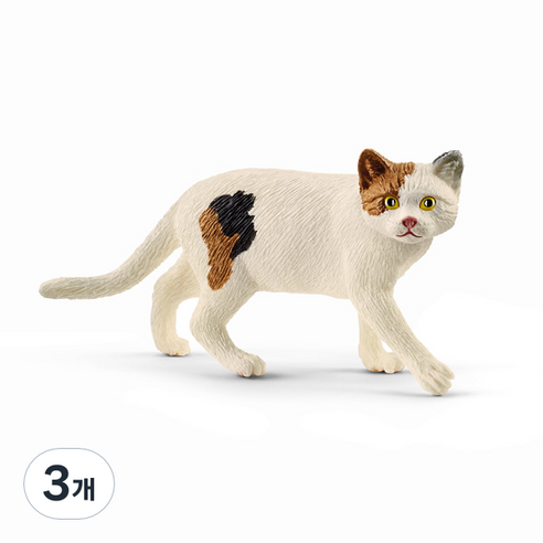 슐라이히 아메리칸 쇼트헤어 고양이 SL13894, 3개