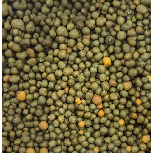 오스모코트 알비료 하나로 식물 금손 등극!