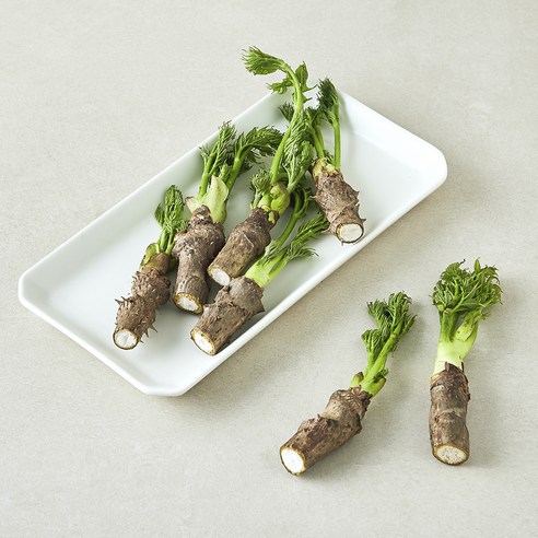 참두릅, 1개, 150g