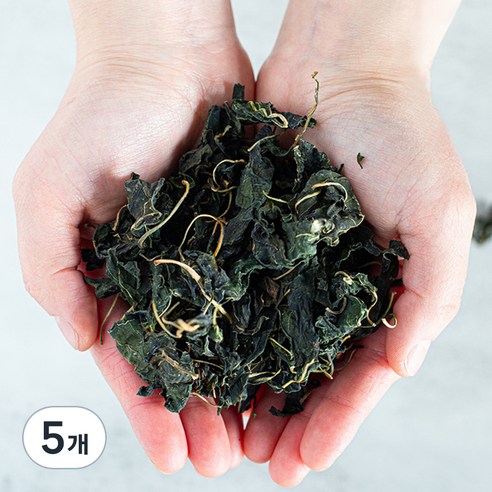썬앤지 국내산 건고춧잎, 100g, 5개