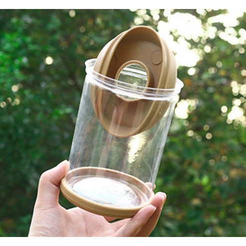 투명한 화분에 담긴 싱그러운 초록, 클레어라 수경재배 화분으로 시작하는 나만의 작은 정원