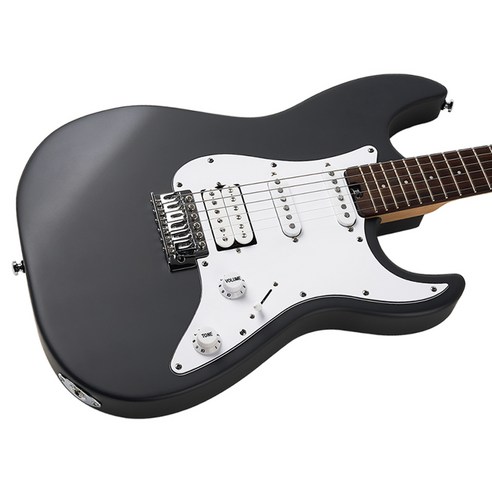 첫 울림의 감동, 헥스 입문용 무광 일렉기타