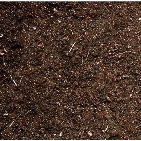 촉촉한 생명력의 근원, 펫츠핸들러 코코피트 보습 달팽이 흙