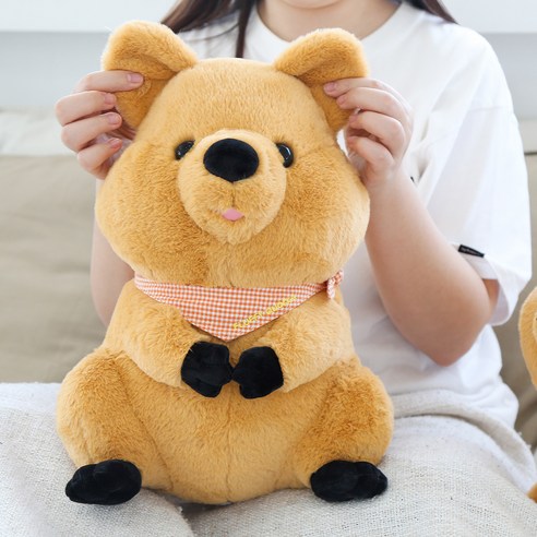 모찌타운 쿼카 인형, 당신의 삶에 행복을 더하는 작은 친구